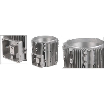 Aluminum Die Casting Electric Motors